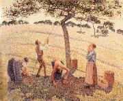 Apple picking at Eragny-sur-Epte Camille Pissarro